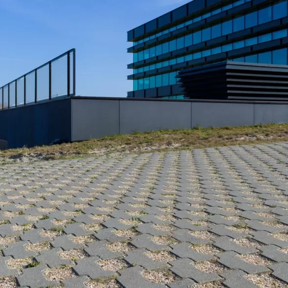 Ažūrinių eco betoninių vejos korių danga su skaldelės užpildu kieme prie modernaus stiklinio pastato